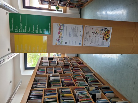 Svetovni dan čebel 2025 (foto: MKL)